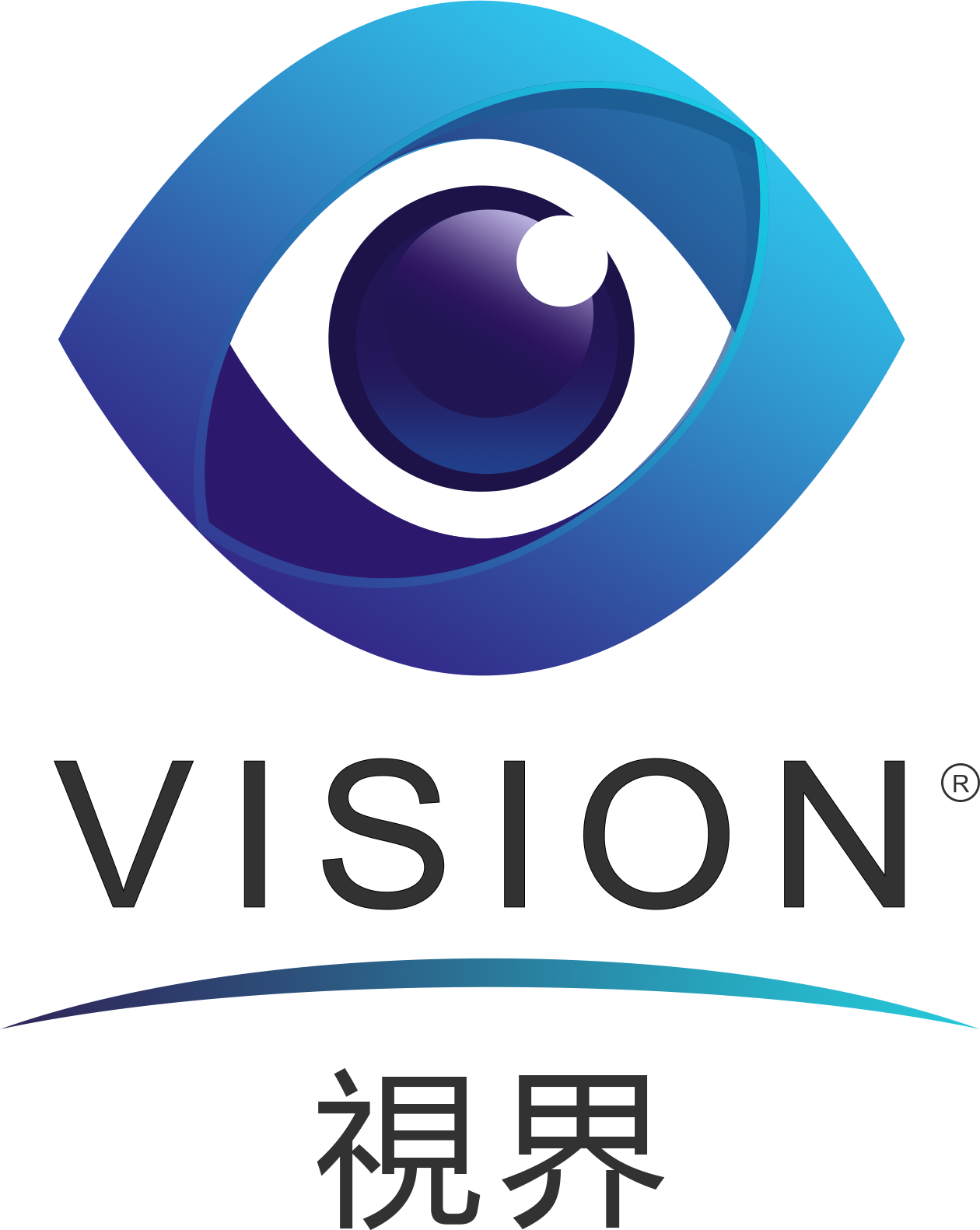 Vision